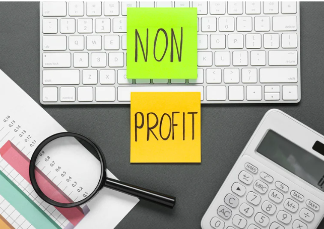 Read more about the article How a CFO Impacts Non-Profit Organizations